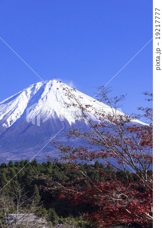 紅葉と富士山 19217777