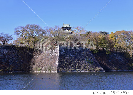 大阪城と内濠 19217952