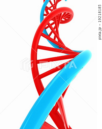 DNA structure model on white 19218185