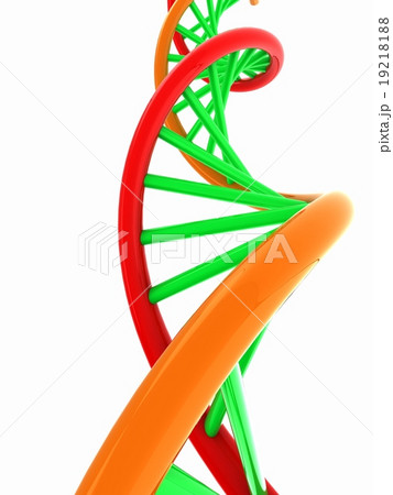 DNA structure model on white DNA structure model on white 19218188