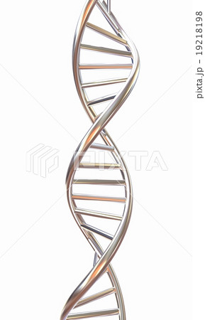 DNA structure model on white 19218198