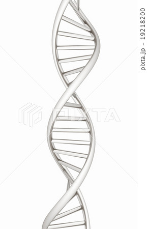 DNA structure model on white 19218200