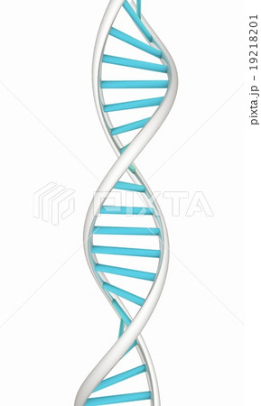 DNA structure model on white 19218201