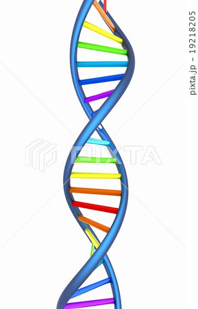 DNA structure model on white 19218205