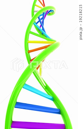 DNA structure model on white 19218215