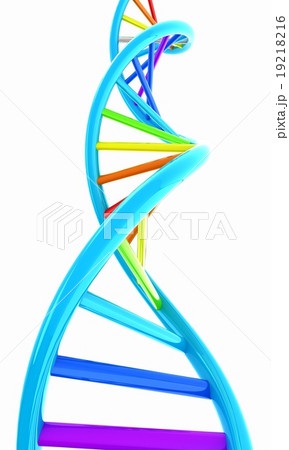 DNA structure model on white 19218216