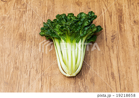 ターツァイ 搨菜 中華野菜 アブラナ科 Brassica rapa var. rosularis ターツァイ 搨菜 中華野菜 アブラナ科 Brassica rapa var. rosularis 19218658