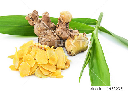 Cassumunar ginger, Herbal. 19220324