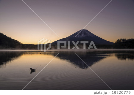 未明の精進湖と富士山 19220779