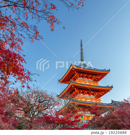 秋の清水寺 19220886