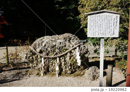 国歌「君が代」にうたわれた「さざれ石」（京都：下鴨神社）の写真素材 [19220962] - PIXTA