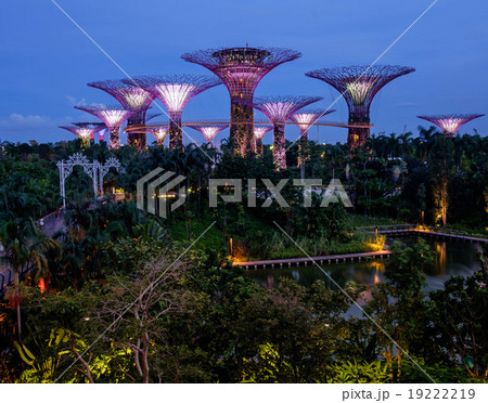 Futuristic illumination at Garden by the Bay park Futuristic illumination at Garden by the Bay park 19222219