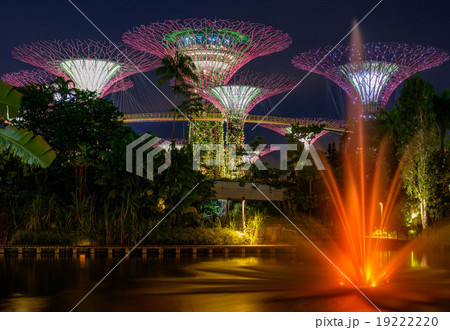 Futuristic illumination at Garden by the Bay park Futuristic illumination at Garden by the Bay park 19222220