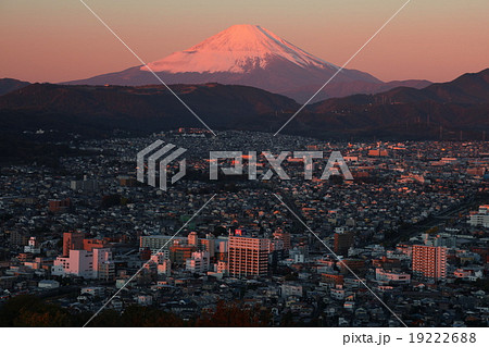 秦野市街地と紅富士 19222688