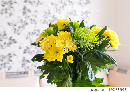 Bouquet of yellow and green Chrysanthemum 19223993
