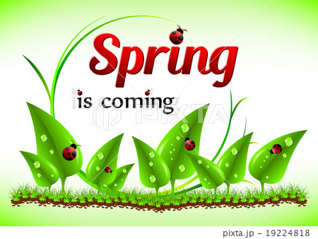 Spring card for greetings with beginning of spring 19224818