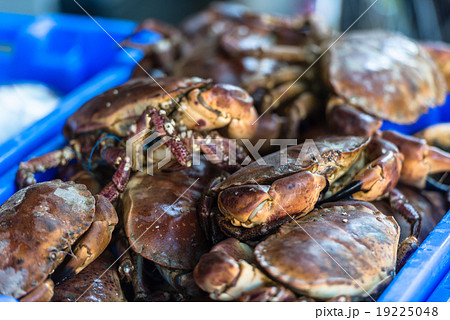 Raw whole crabs on ice. The market scene 19225048