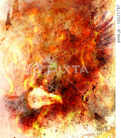 beautiful painting of eagle on an abstract 19225787