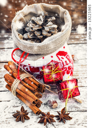 Winter Christmas decoration 19225965