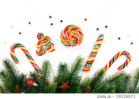 Christmas tree branches 19226071