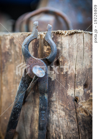 Worn old iron pliers 19226809