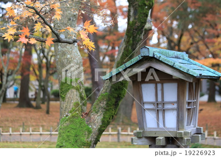 金沢、兼六園の灯篭と紅葉 19226923