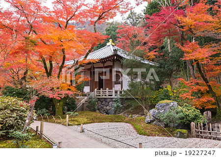 秋の宝厳院 秋の宝厳院 19227247