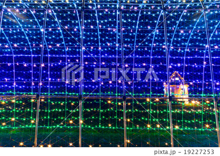 昭和記念公園 Winter Vista Illumination 2015 昭和記念公園 Winter Vista Illumination 2015 19227253