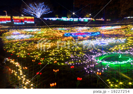 昭和記念公園 Winter Vista Illumination 2015 昭和記念公園 Winter Vista Illumination 2015 19227254