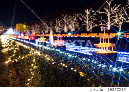 昭和記念公園 Winter Vista Illumination 2015 昭和記念公園 Winter Vista Illumination 2015 19227259