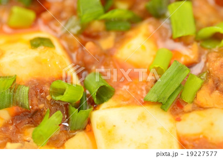 マーボー豆腐 マーボー豆腐 19227577