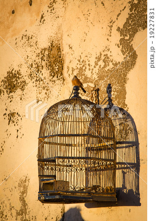 Details of Essaouira, Morocco. 19227831