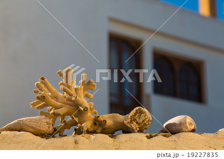 Sculpture by Atlantic Ocean 19227835