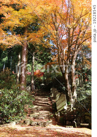 長安寺 長安寺 19228545
