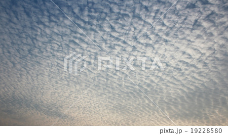 Altocumulus cloud, sky background Altocumulus cloud, sky background 19228580