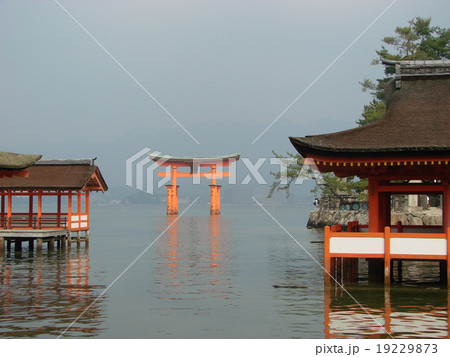 厳島神社 19229873