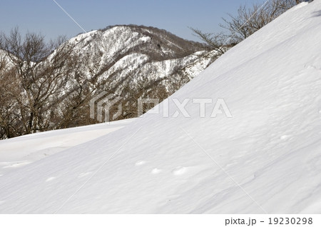 塔ノ岳の雪陵と丹沢山 19230298