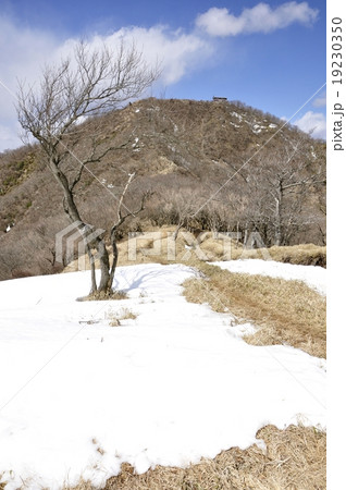 残雪の丹沢山地 19230350