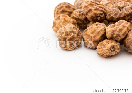 殻付きタイガーナッツ: tiger nuts 19230552