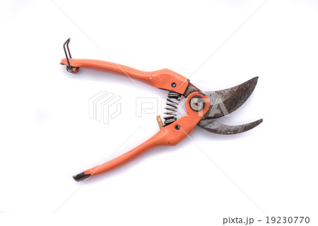 Pruning shears 19230770