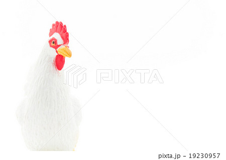 鶏のおもちゃ:chicken figure 鶏のおもちゃ:chicken figure 19230957