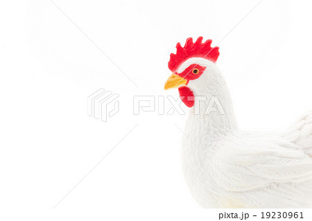 鶏のおもちゃ:chicken figure 19230961