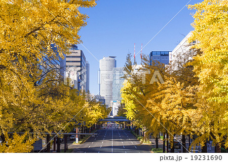 名古屋都市風景　桜通の銀杏並木と名古屋駅ビル群　日銀前交差点から 19231690