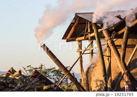 Northern hut for the production of charcoal, Northern hut for the production of charcoal, 19231705