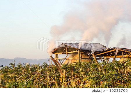 Northern hut for the production of charcoal Northern hut for the production of charcoal 19231706