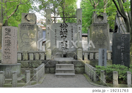 富岡八幡宮 19231763