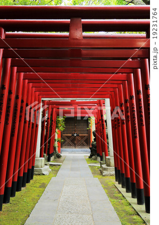 富岡八幡宮 富岡八幡宮 19231764