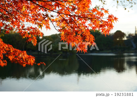湖畔の紅葉 湖畔の紅葉 19231881