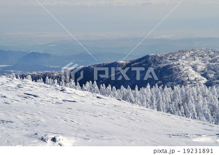 蔵王温泉スキー場 19231891