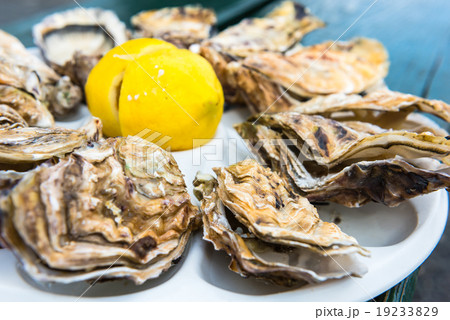 A dozen oysters on a plastic plate A dozen oysters on a plastic plate 19233829